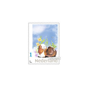 Postzegel met 2 cavia's Olivia & Muffin