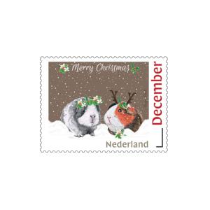 Postzegel met 2 kerstcavia's